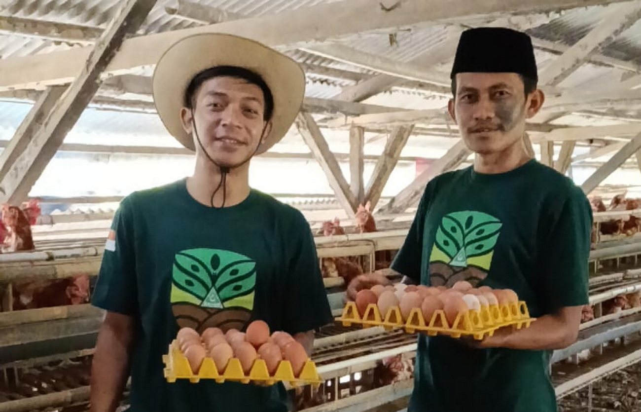 Ansor Kota Sukabumi dan Pesantren Al Muslim Panen Telur di Cikundul
